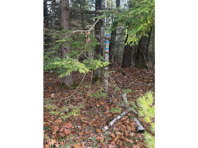 Looking to build your dream home on a private lot on the - photo 5