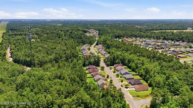 Welcome to 13364 Turtle Creek Parkway in Gulfport. This 3 - photo 31