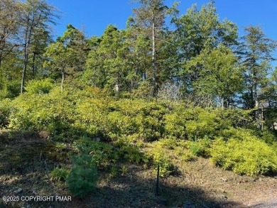 Lake Lot For Sale in Pocono Pines, Pennsylvania