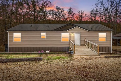 Lake Home For Sale in Big Sandy, Tennessee