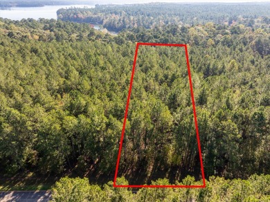 Strom Thurmond / Clarks Hill Lake Lot For Sale in Lincolnton Georgia