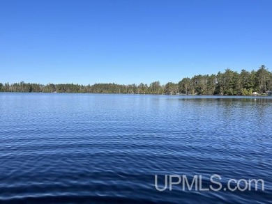 Bass Lake - Marquette County Acreage For Sale in Gwinn Michigan
