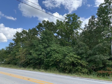 Lake Lot For Sale in Lakeview, Arkansas