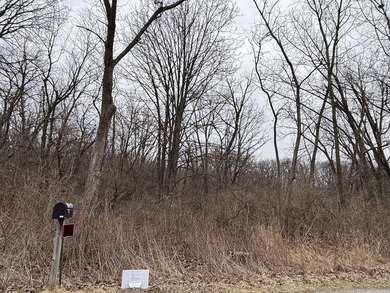 Lake Lot For Sale in Cedar Lake, Indiana