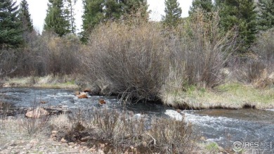 Lake Lot For Sale in Red Feather Lakes, Colorado