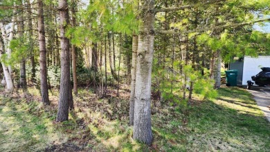 Lake Lot Sale Pending in Prudenville, Michigan