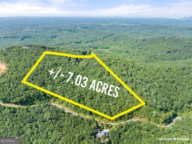 Lake Acreage For Sale in Clarkesville, Georgia