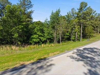 Welcome to River Gorge Ranch- Tennessee's newest private gated - photo 9