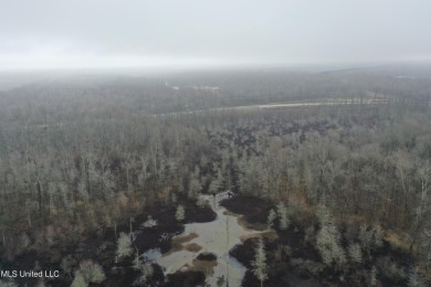 Coldwater River Acreage For Sale in Hernando Mississippi
