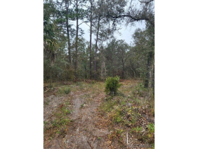 Bonable Lake Lot For Sale in Dunnellon Florida
