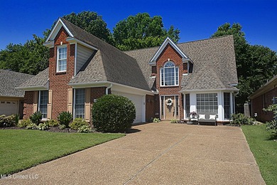 Beautiful and Open in an established Olive Branch Subdivision is - photo 4