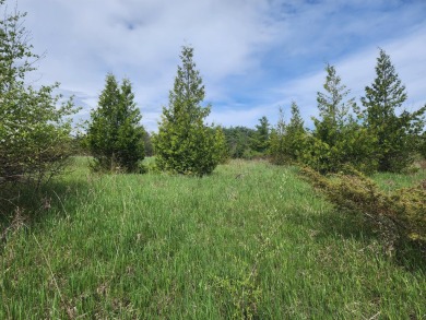 (private lake, pond, creek) Acreage Active Under Contract in Cheboygan Michigan