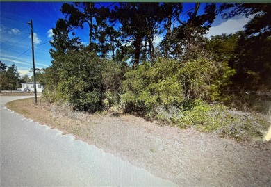 Lake Lot For Sale in Paisley, Florida