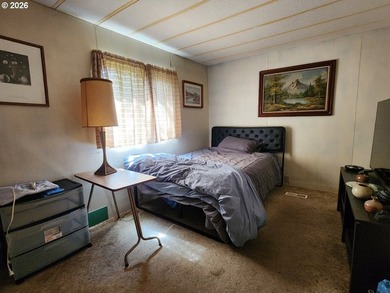 Spacious manufactured home situated on a large city lot - photo 17