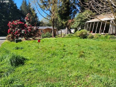 Spacious manufactured home situated on a large city lot - photo 27