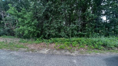 (private lake, pond, creek) Lot For Sale in Gowen Michigan