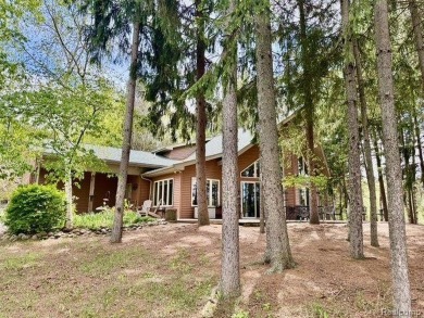 Lake Home For Sale in Attica, Michigan
