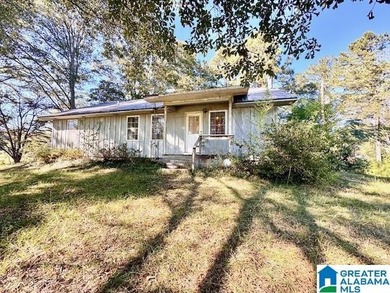 Coosa River - St. Clair County Home For Sale in Lincoln Alabama