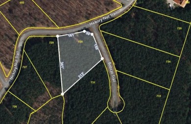 Lake Lot For Sale in Spencer, Tennessee