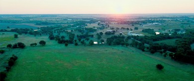 Welcome to The PT Ranch, a premier 138+/- acre property offering - photo 35