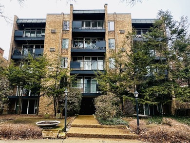 Lake Michigan - Cook County Condo For Sale in Evanston Illinois