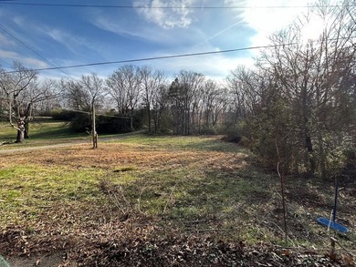 Kentucky Lake Lot For Sale in Big Sandy Tennessee