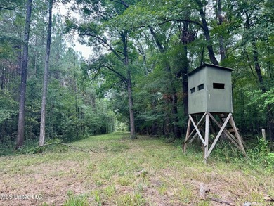Wait, what?! Yep... this is a rare opportunity to own 102 acres - photo 3