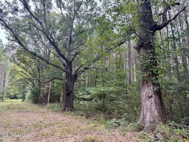 Wait, what?! Yep... this is a rare opportunity to own 102 acres - photo 4