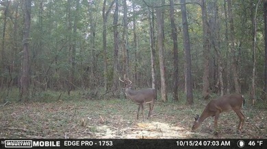 Wait, what?! Yep... this is a rare opportunity to own 102 acres - photo 10