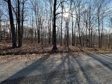 Kentucky Lake Lot For Sale in Big Sandy Tennessee