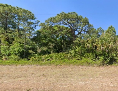 Lehigh Acres Area Lot For Sale in Lehigh Acres Florida