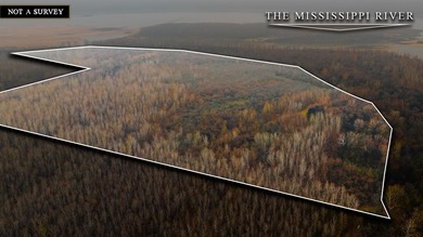 Mississippi River Lot For Sale in Ridgely Tennessee