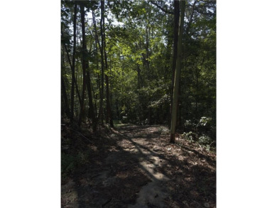 Lake Lot For Sale in Gainesville, Georgia