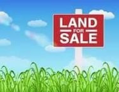 Williamstown Lake Lot For Sale in Williamstown Kentucky