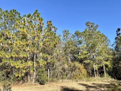 This versatile & divisible waterfront tract with quick access to - photo 11