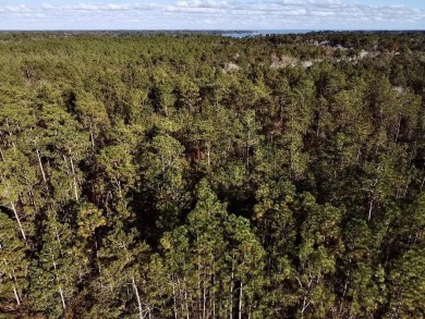 This versatile & divisible waterfront tract with quick access to - photo 12