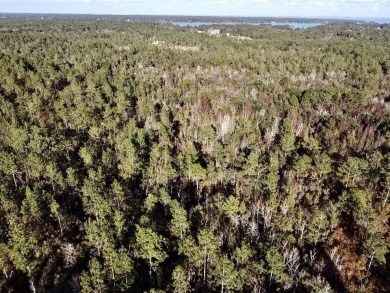 This versatile & divisible waterfront tract with quick access to - photo 14