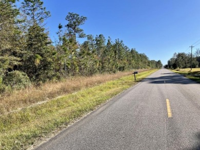 This versatile & divisible waterfront tract with quick access to - photo 15