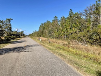 This versatile & divisible waterfront tract with quick access to - photo 17