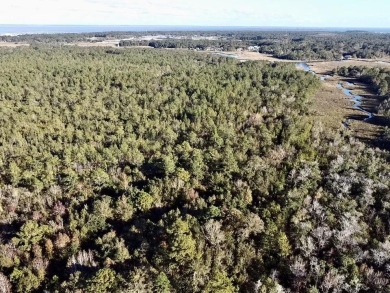 This versatile & divisible waterfront tract with quick access to - photo 20