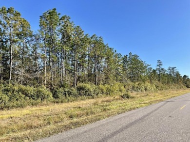 This versatile & divisible waterfront tract with quick access to - photo 21