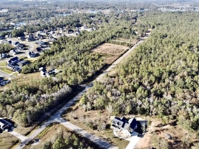 This versatile & divisible waterfront tract with quick access to - photo 28