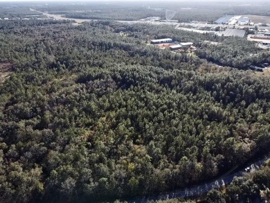 This versatile & divisible waterfront tract with quick access to - photo 31