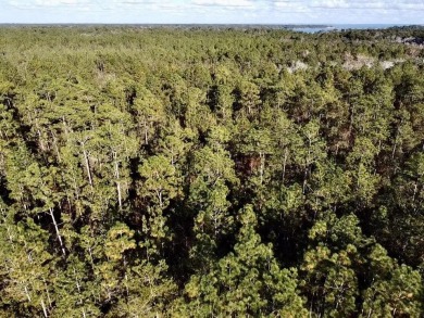 This versatile & divisible waterfront tract with quick access to - photo 32