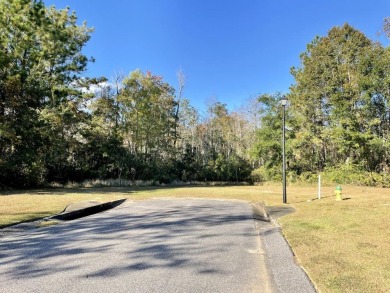This versatile & divisible waterfront tract with quick access to - photo 34