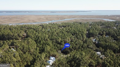 Welcome to Homesite 183 in gated Cumberland Harbour. Great - photo 5