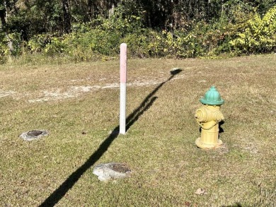 This versatile & divisible waterfront tract with quick access to - photo 35