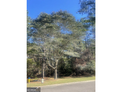 Welcome to Homesite 183 in gated Cumberland Harbour. Great - photo 6