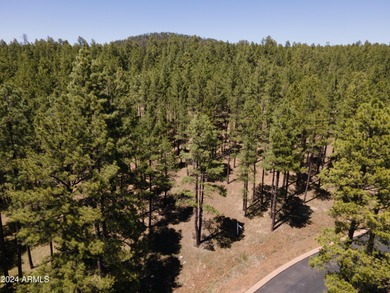 Lake Lot For Sale in Pinetop, Arizona