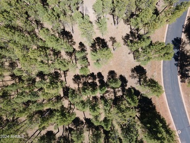 Stunning lot located in the highly coveted gated community of - photo 3